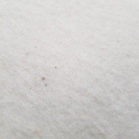 Guata Acolchar Algodón Natural 280cm Guata Acolchar Algodón Natural 280cm