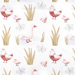 Algodón Gallinas Pollitos Gansos