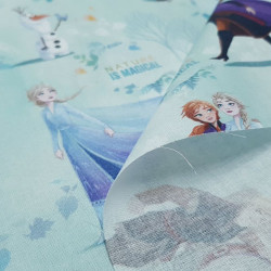 Algodón Disney Frozen 2 Nature