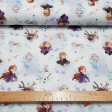 Cotton Disney Frozen 2 Characters fabric - Disney licensed cotton fabric with the characters Anna, Elsa, Sven, Kristoff and Olaf from the movie Frozen 2 forming a mosaic on a background with leaves in the air. The fabric is 150cm wide and its composition 