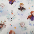 Tela Algodón Disney Frozen 2 Personajes - Tela de algodón licencia Disney con los personajes Anna, Elsa, Sven, Kristoff y Olaf de la película Frozen 2 formando un mosaico sobre un fondo con hojas en el aire. La tela mide 150cm de ancho y su composición 10
