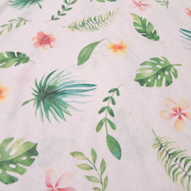 Cotton Tropical Plants