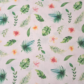 Cotton Tropical Plants