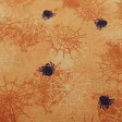 Cotton Halloween Cobwebs Orange Background fabric - Cotton fabric with drawings of spider webs and spiders of various sizes on an orange background. The fabric is 150cm wide and its composition 100% cotton.