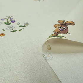 Algodón Cuento Caperucita