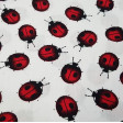 Cotton Ladybugs fabric - Cotton poplin fabric with drawings of ladybugs on a white background. The fabric is 145cm wide and its composition is 100% cotton.