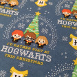 Algodón Harry Potter Navidad Hogwarts - Tela de popelín algodón licencia ancho americano, ideal para patchwork. En esta tela podemos ver dibujos estilo kawaii de Harry Potter y sus amigos Ron Weasley y Hermione Granger bajo un árbol de nav