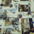 Cotton Harry Potter Scenes fabric - Licensed cotton fabric with drawings of scenes from the Harry Potter saga and also objects such as books, owls, trains... on a light background. The fabric is 150cm wide and its composition is 100% cotton.