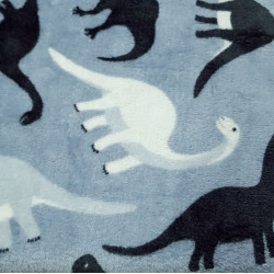 Coral Fleece Double Face Dinosaurs