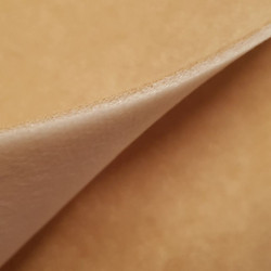 Antelina Foamizada Antelina Foamizada