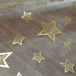 Organza Stars Golden Rim
