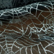 Organza Spiderwebs Silver Glitter fabric - Semi-transparent organza/chiffon fabric in black with spider web designs made with silver glitter. In them you can also see the spiders hanging from the spiderwebs. The fabric measures 145cm wide and its 100% pol