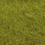 Verde Pistacho (6006 ) 