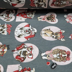 Loneta Perros Gafas Loneta Perros Gafas