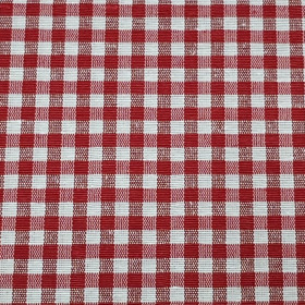 Canvas Gingham Checks Small