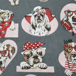 Loneta Perros Gafas Loneta Perros Gafas