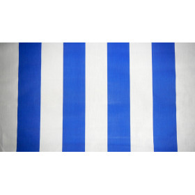 Blue and White Flag