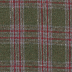 Flannel Red Green Checkered